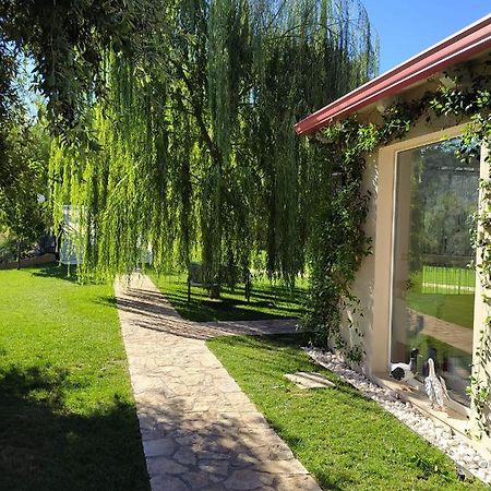 B&B Volver Peschici Buitenkant foto
