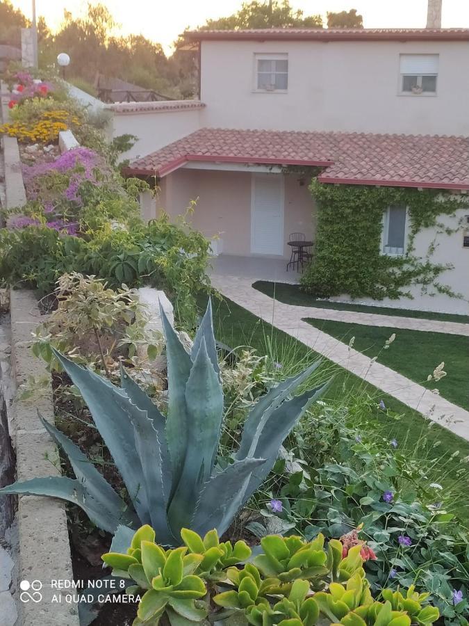 B&B Volver Peschici Buitenkant foto