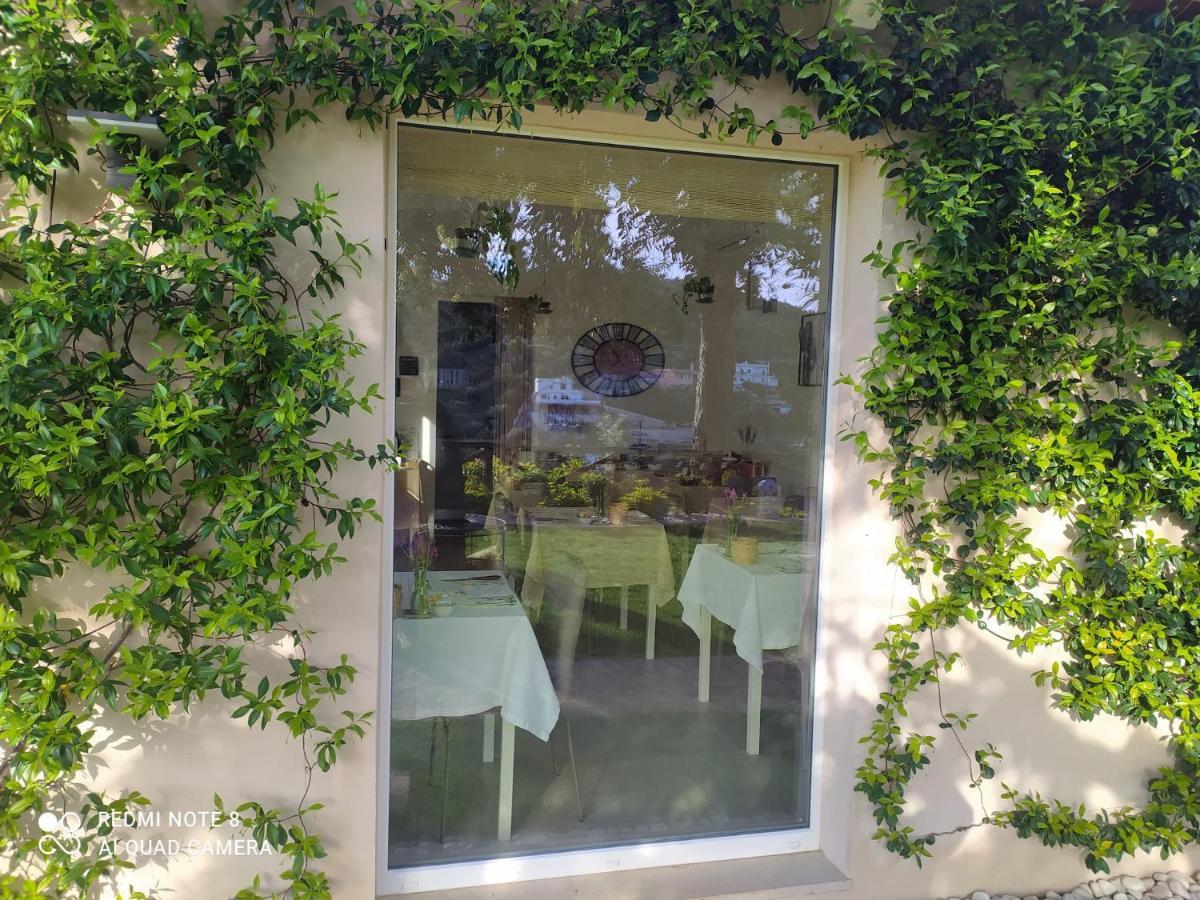 B&B Volver Peschici Buitenkant foto