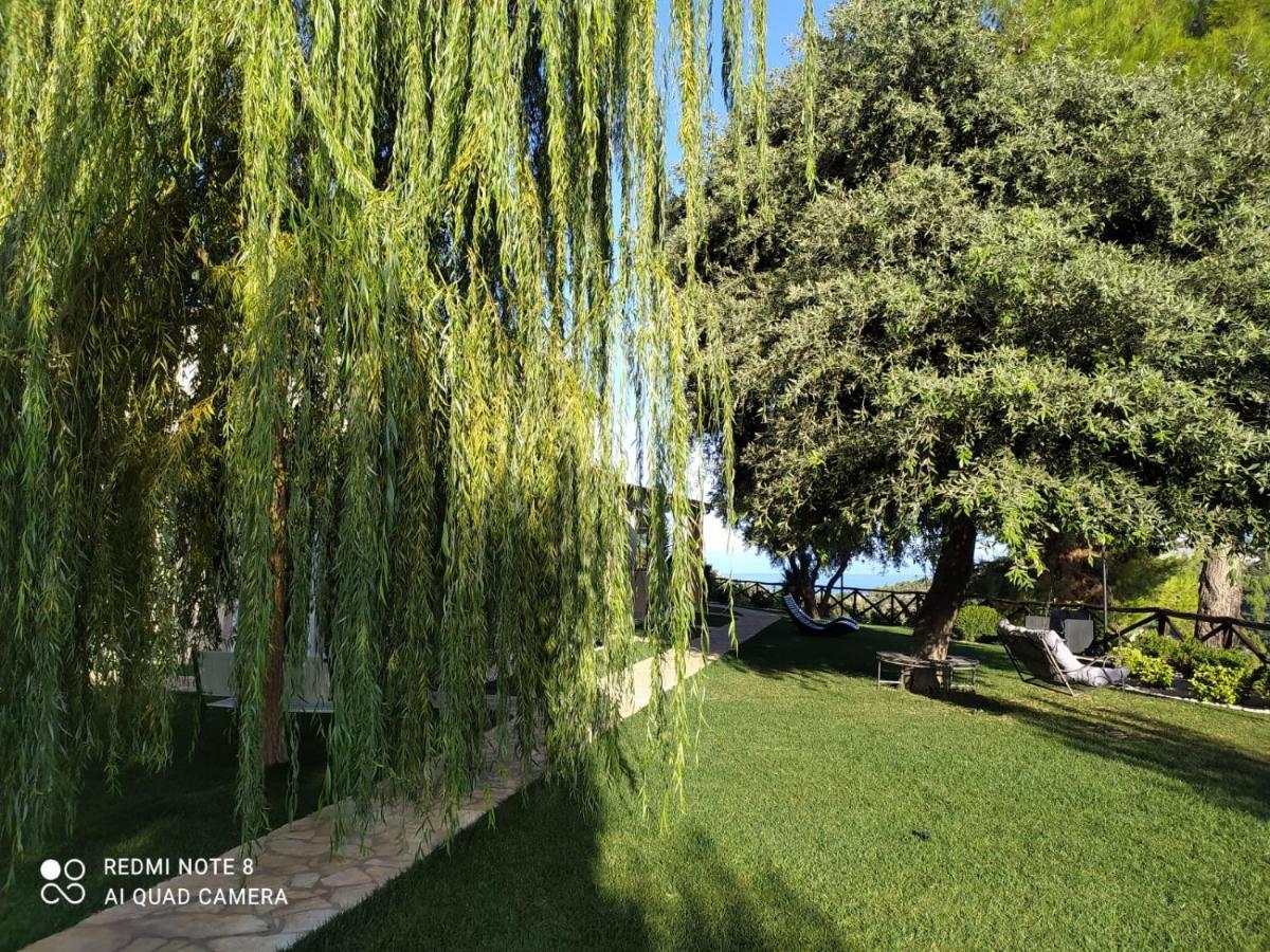 B&B Volver Peschici Buitenkant foto