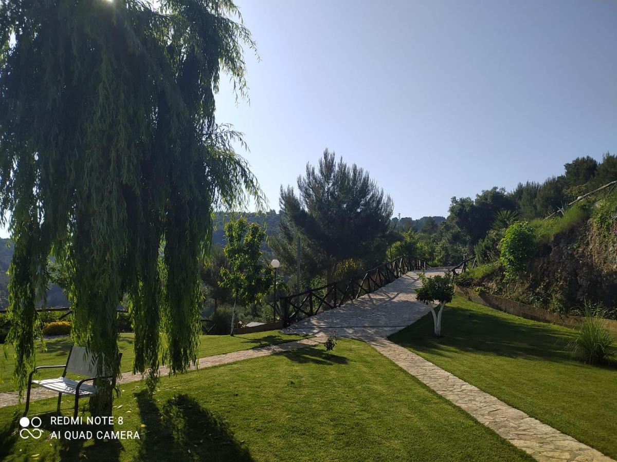 B&B Volver Peschici Buitenkant foto